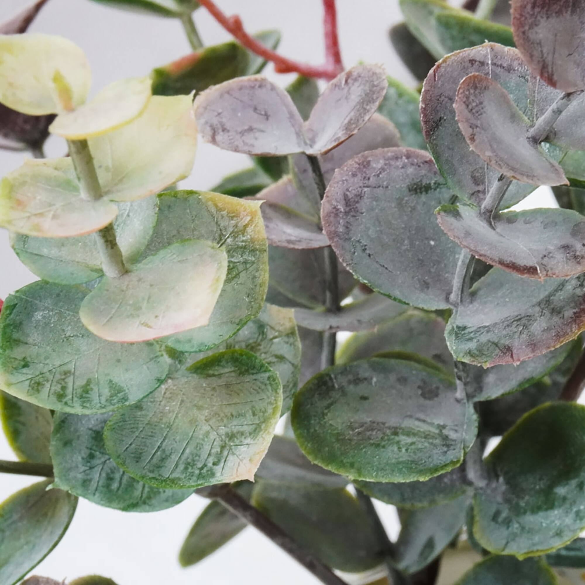 Green Seeded Eucalyptus Pick by Ashland®